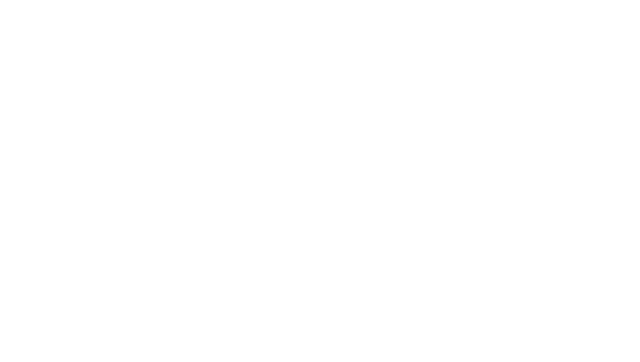 AUSFF Logo
